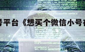 买微信小号平台《想买个微信小号在哪里买安全》
