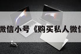 购买私人微信小号《购买私人微信小号95》