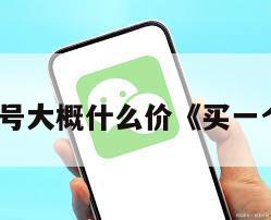 买一个微信号大概什么价《买一个微信账号》