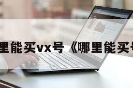 哪里能买vx号《哪里能买号》