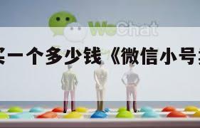微信小号买一个多少钱《微信小号卖多少钱一个》